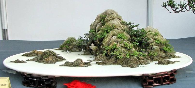 Bonsai, cay canh nghe thuat, cây cảnh nghệ thuật